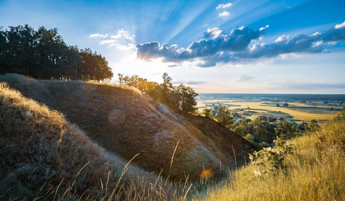 2022 czas aby lepiej  chronić środowisko