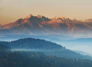 Poradnik - jak korzystać z pomocy prawnej?