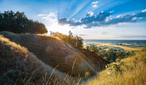 Coraz więcej Polaków korzysta z pomocy prawnika