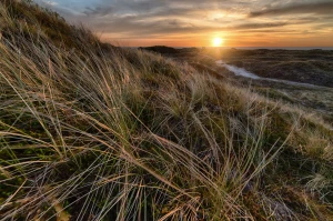 Nowości w 2023 jak  czytać kodeksy