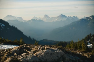 Oni Nie Chcą Abyś Dowiedział Się Jak jeść zdrowo!